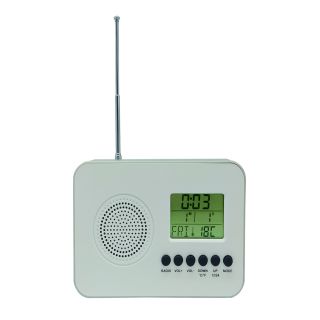 AN0325 FM Radio Alarm Calendar Clock 